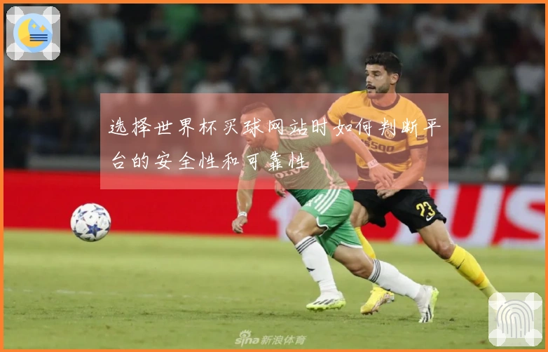 选择世界杯买球网站时如何判断平台的安全性和可靠性