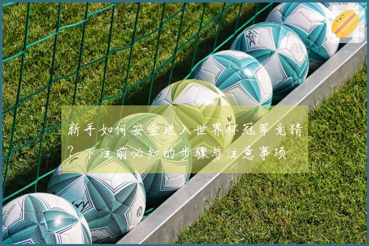 新手如何安全进入世界杯冠军竞猜？下注前必知的步骤与注意事项