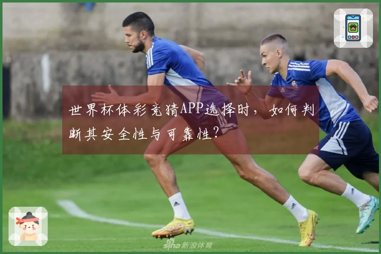 世界杯体彩竞猜APP选择时，如何判断其安全性与可靠性？