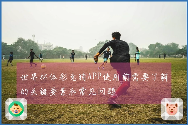 世界杯体彩竞猜APP使用前需要了解的关键要素和常见问题
