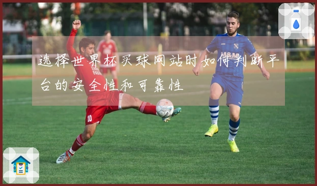 选择世界杯买球网站时如何判断平台的安全性和可靠性